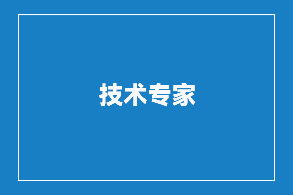 技术专家